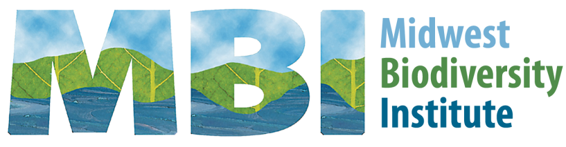 MBI Logo